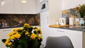 Projekt bez nazwy (40)